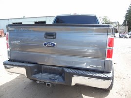 2013 Ford F-150 XLT Gray Crew Cab 5.0L AT 4WD #F22878